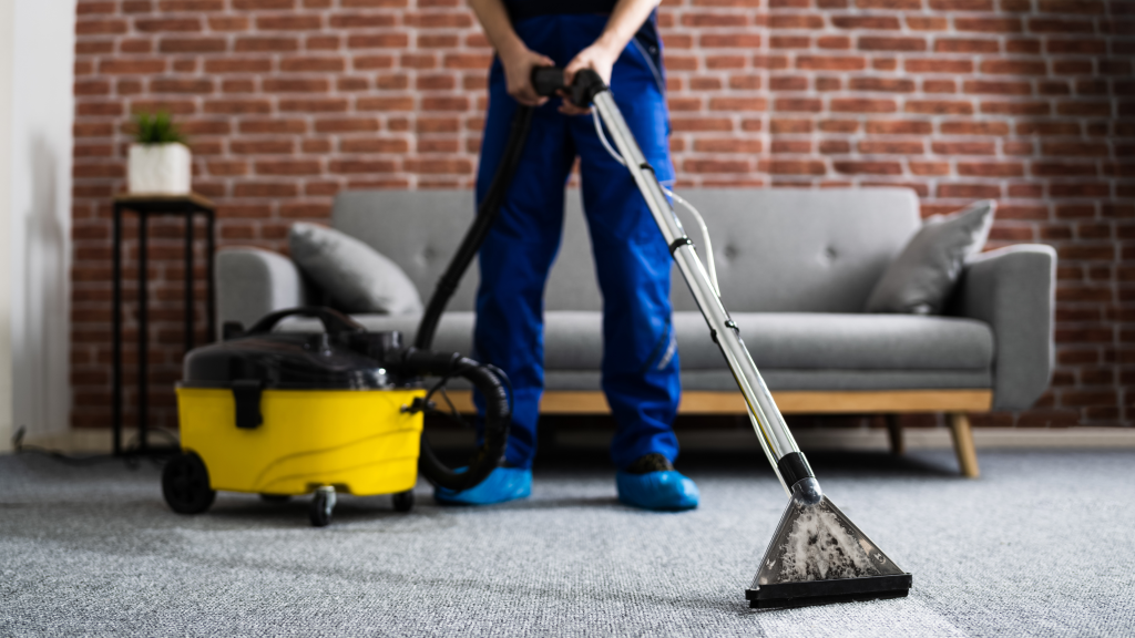 The Best Carpet Cleaning Companies in Edmonton